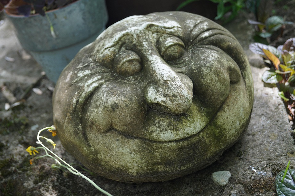 face-508549_960_720.jpg