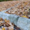 path-4944912_960_720.jpg