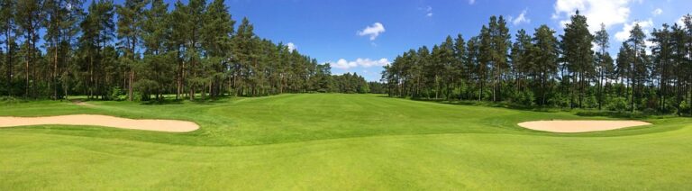 golf-2158897_960_720.jpg