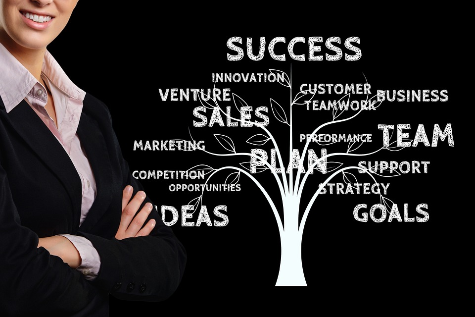 businesswoman-4430775_960_720.jpg
