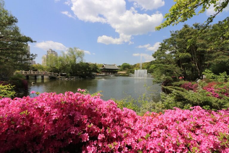 seongnam-2333350_960_720.jpg