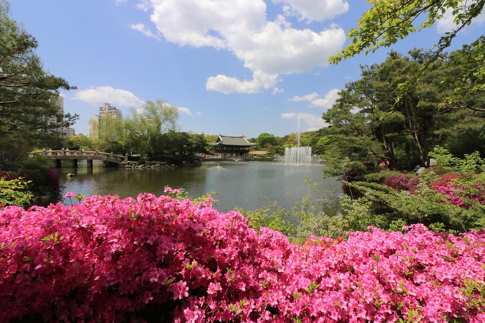 seongnam-2333350_960_720.jpg